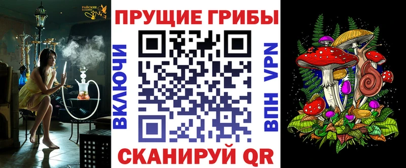 Псилоцибиновые грибы Cubensis  купить закладку  Ленинск 